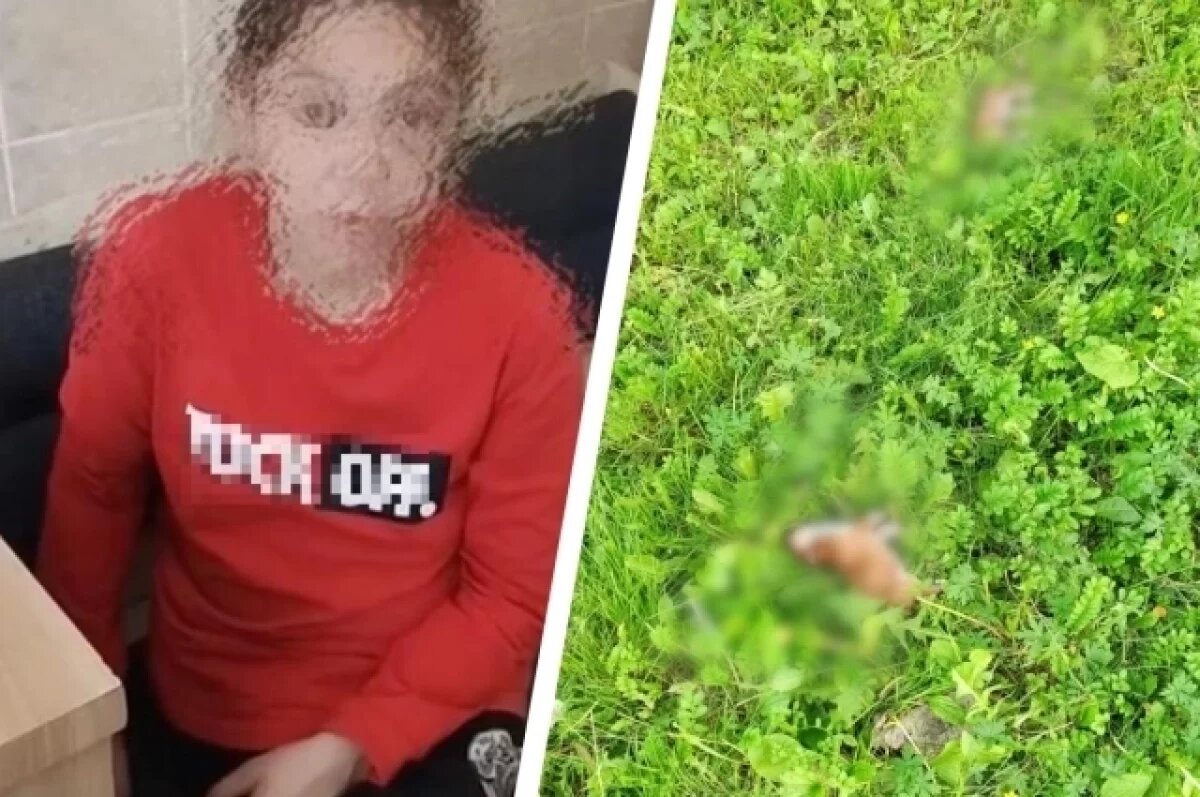    Женщина выкинула из окна семерых новорожденных щенят