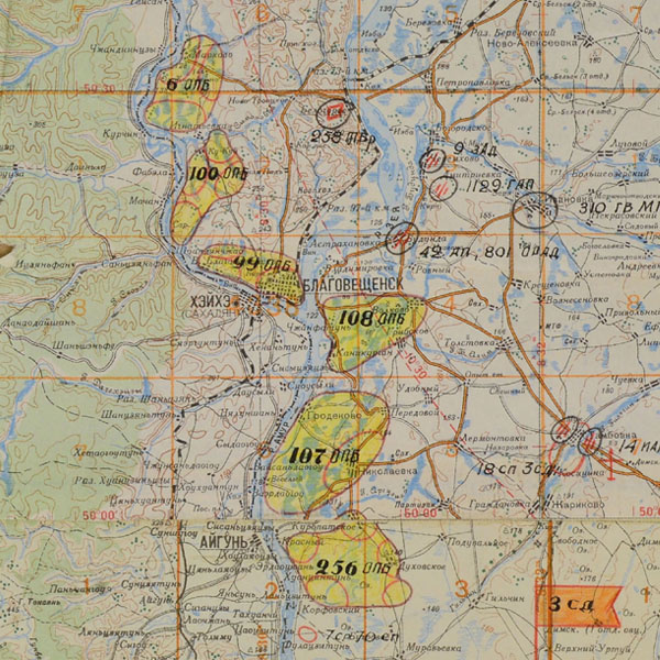 Кусок обозначенной карты в районе г.Благовещенска