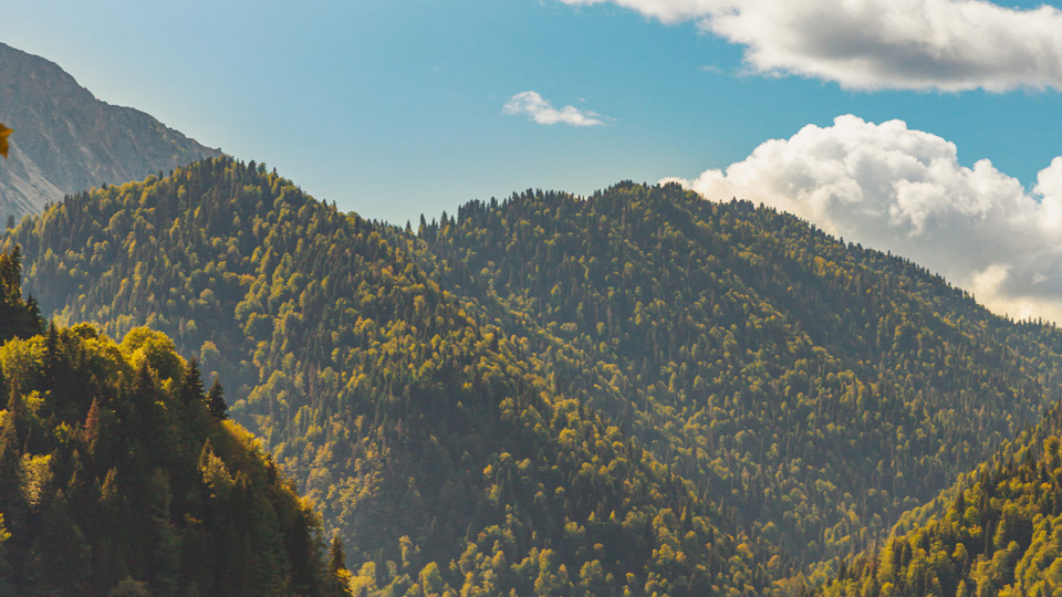 Абхазия 2025 — Часть 3 — Рица, достопримечательности, лучшие места, куда пойти, что посмотреть, бесплатные парковки, секреты.