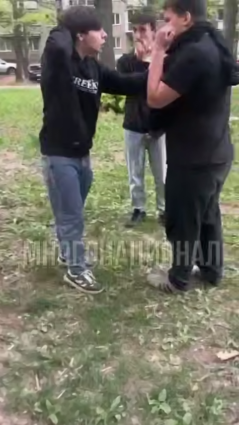    Скриншот: Telegram/"Многонационал"