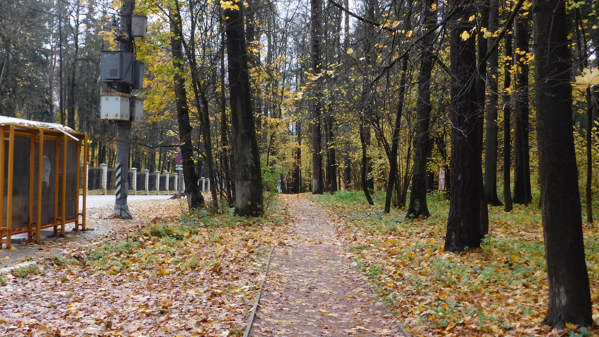 Дорожка вдоль Ильинского шоссе. Путь в сторону театра Гонзаго