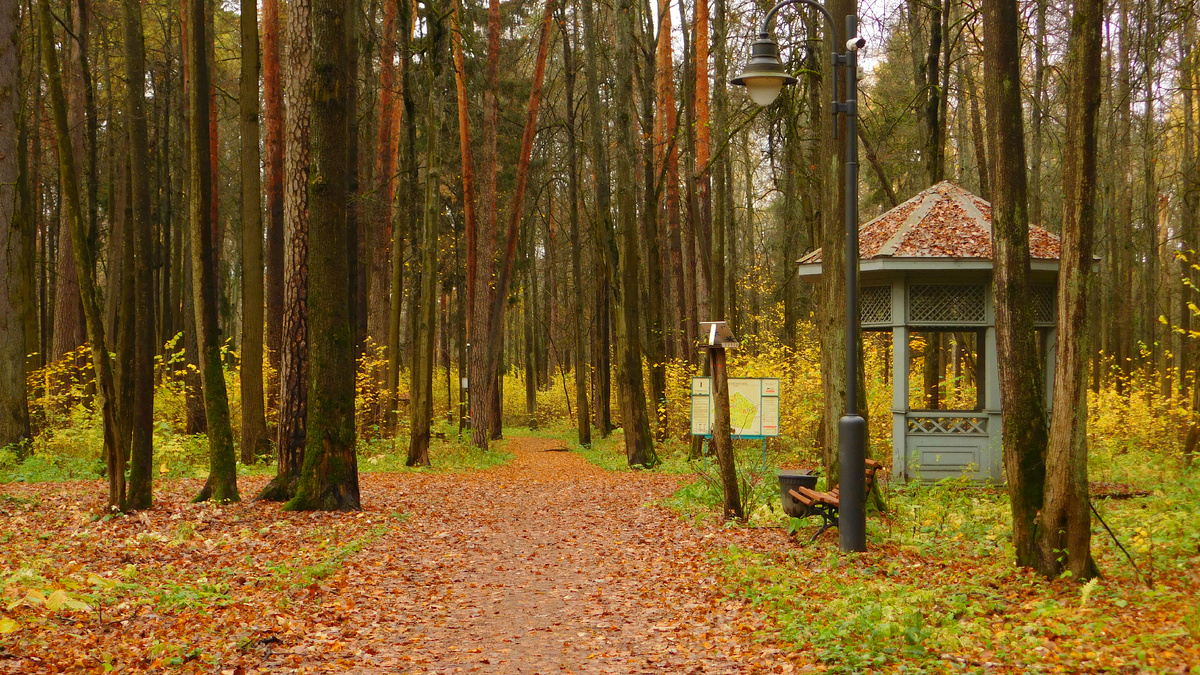 Центральная часть парка. Путь налево - в сторону запруды на реке «Вороной брод», путь прямо - в сторону детской и спортивной площадок, места для пикника, и к развилке возле склона, путь направо - в сторону второго входа в парк