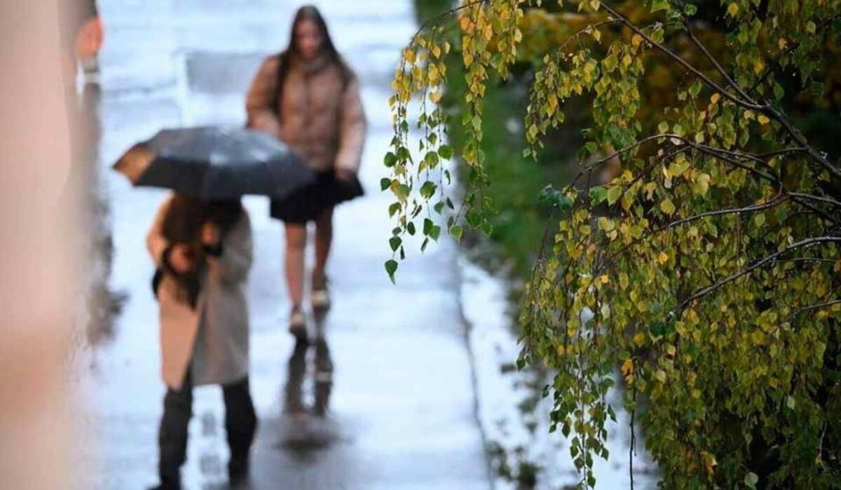     Люди в Петербурге. Источник: spb.kp.ru Автор фото: Алексей Булатов