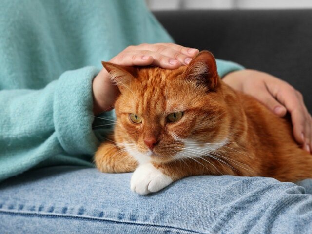    Фото: 123RF/liudmilachernetska