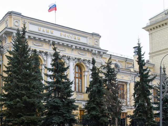    Фото: Москва 24/Никита Симонов