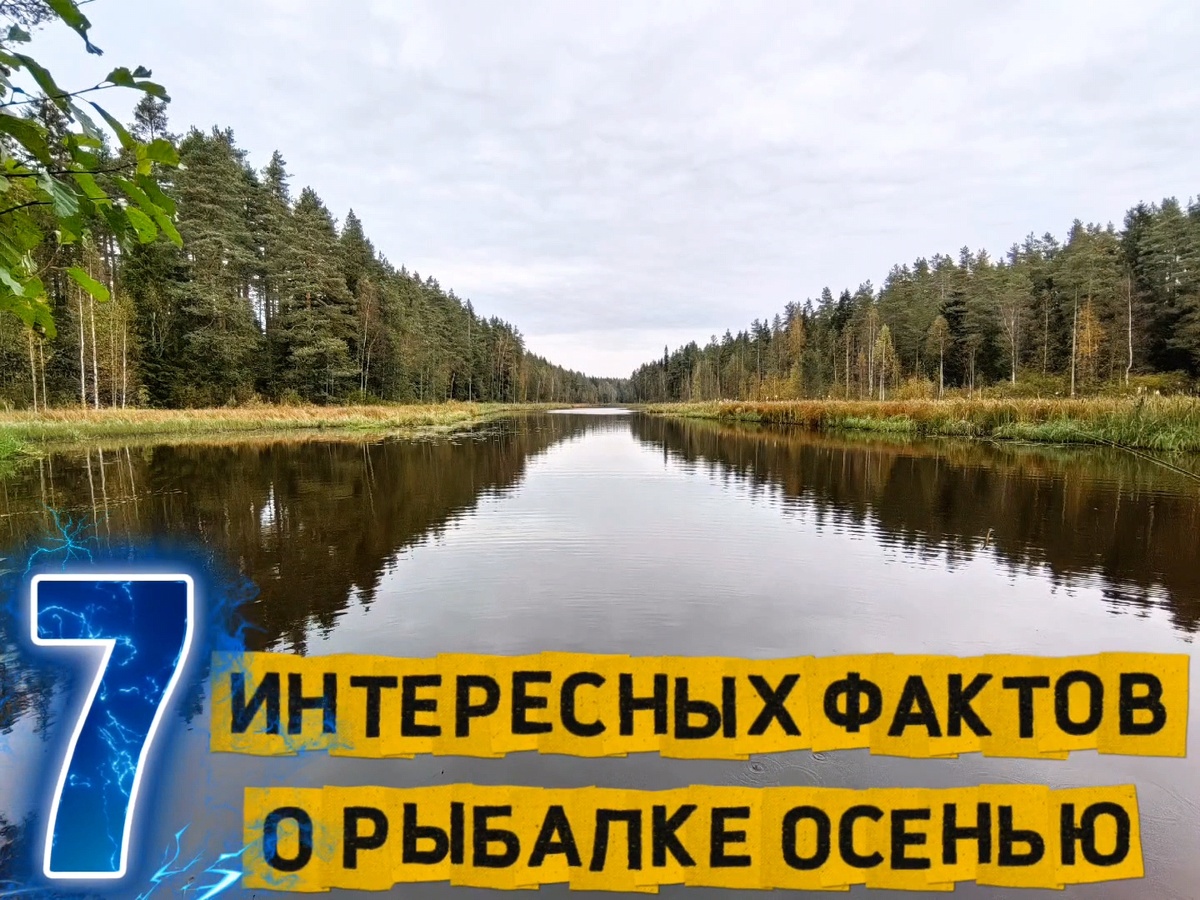 7 интересных фактов о рыбалке осенью