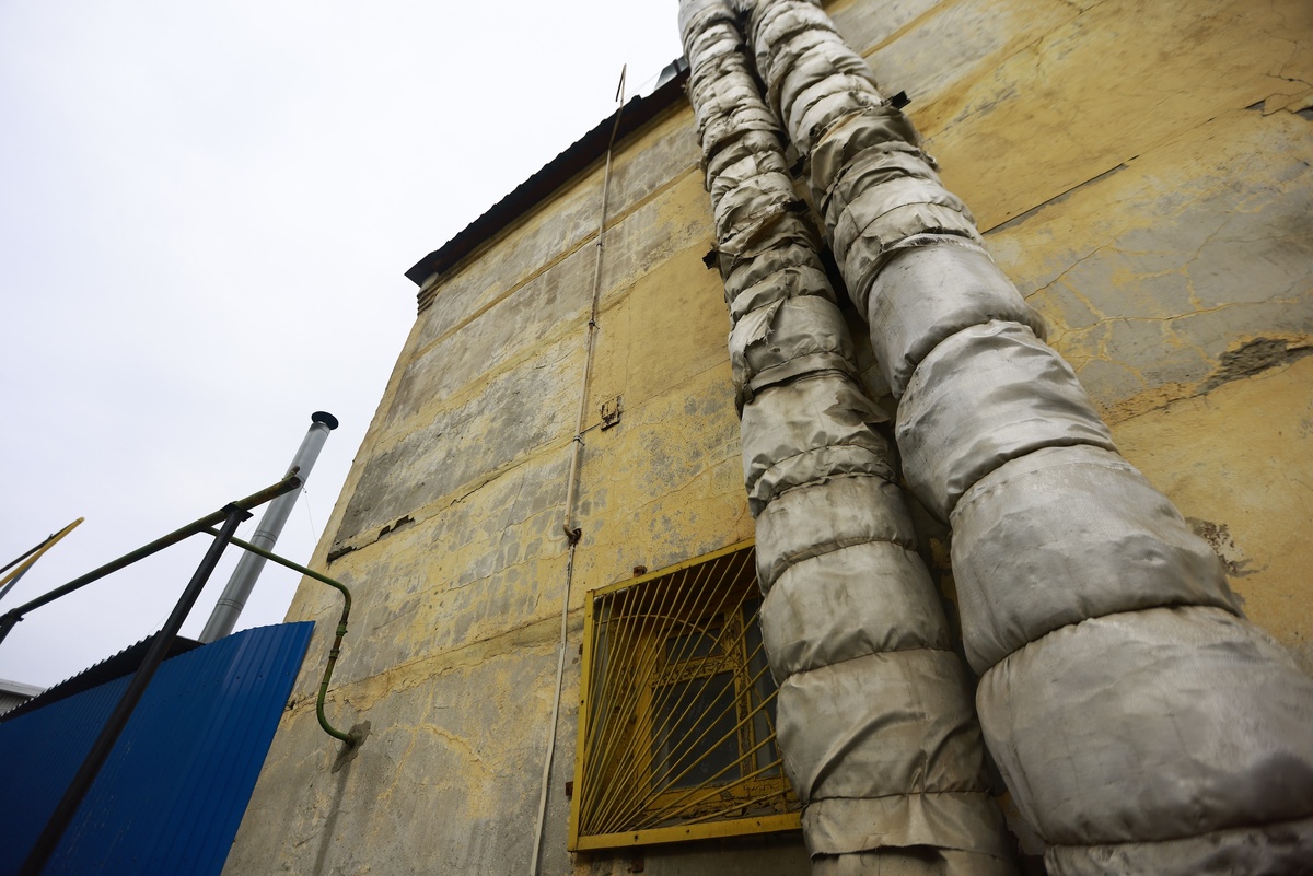 Автор фото: Павел Хацаюк / ИД «Вечерняя Казань»