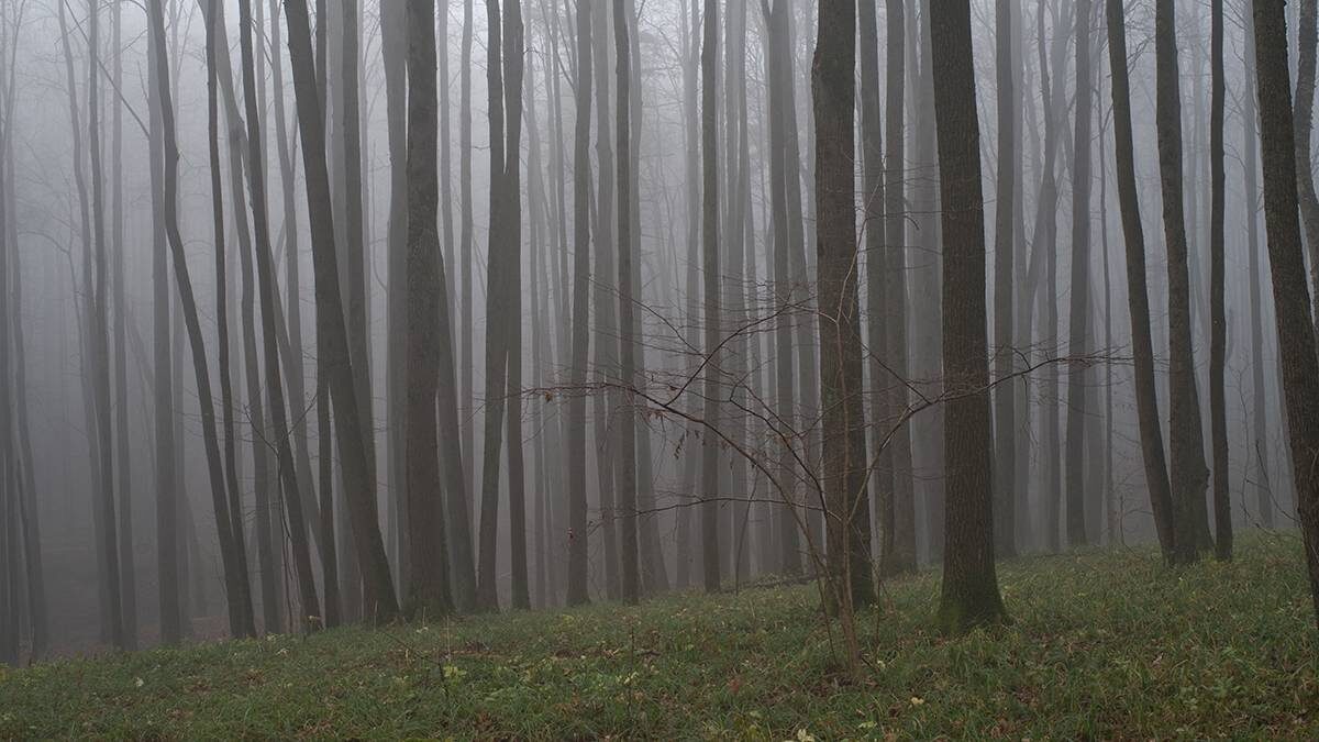    Фото: Shutterstock