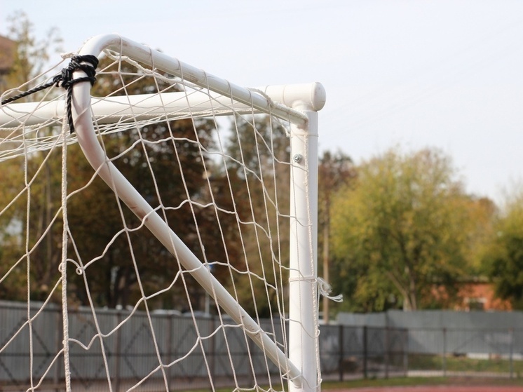     Фото принадлежит «Тульской прессе»