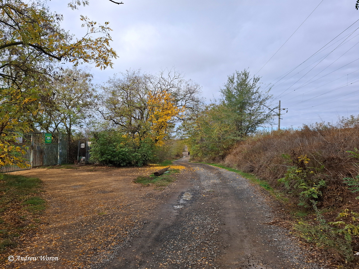 Дорога через СНТ к берегу моря