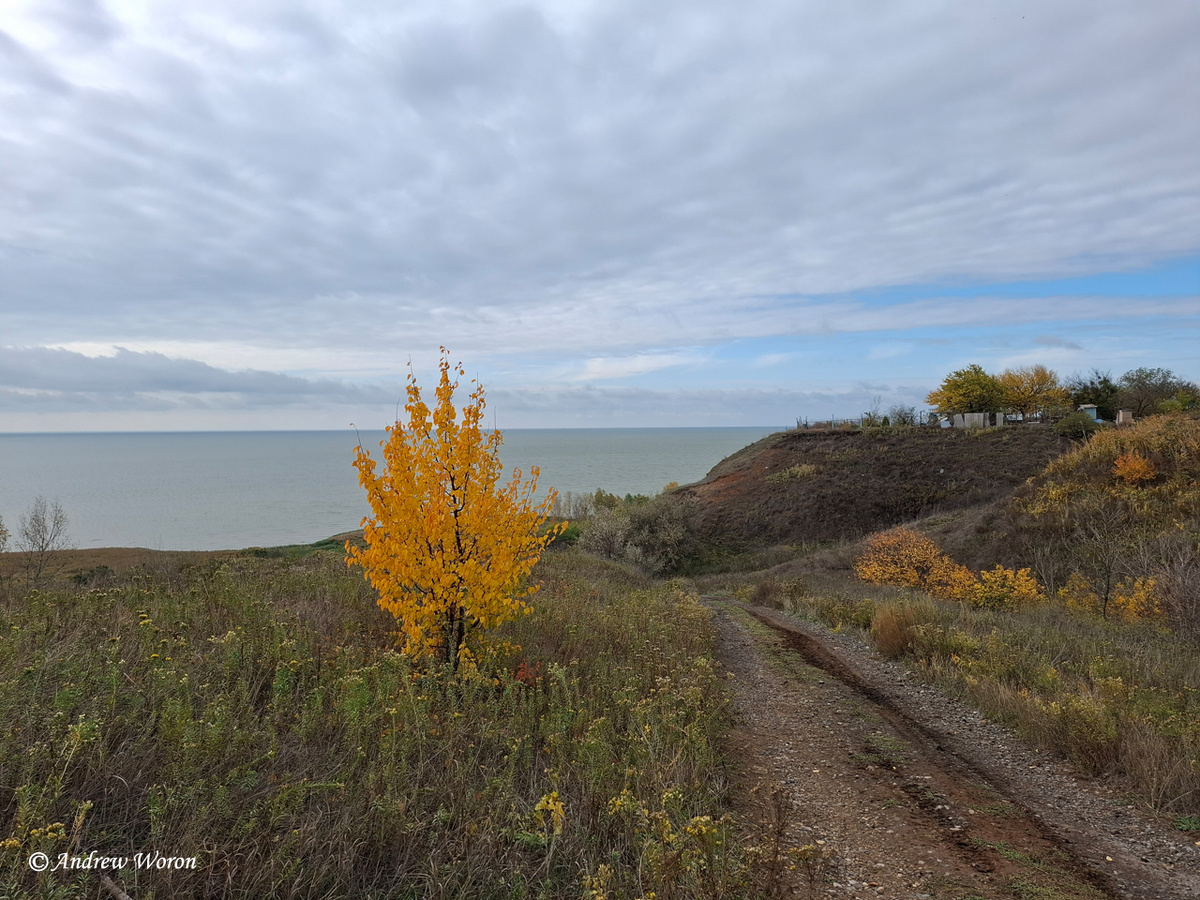 Спуск на берег с улочек СНТ