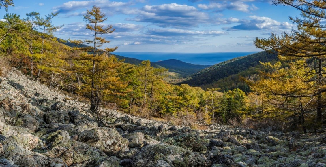    Фото: Евгений Табалыкин
