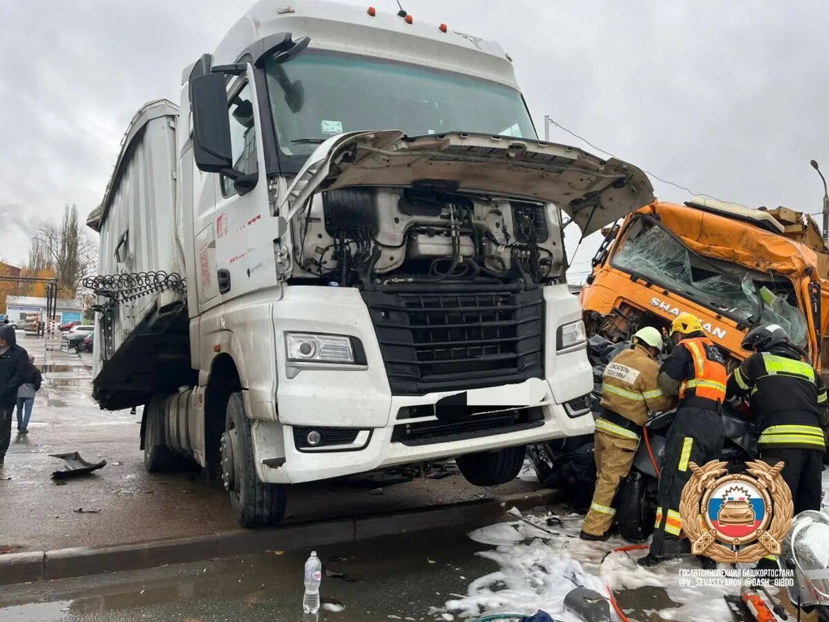    Фото: telegram-канал главы Госавтоинспекции Башкортостана Владимира Севастьянова