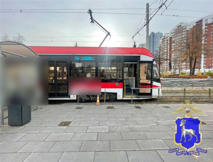    ФОТО: ГУ МВД по Самарской области