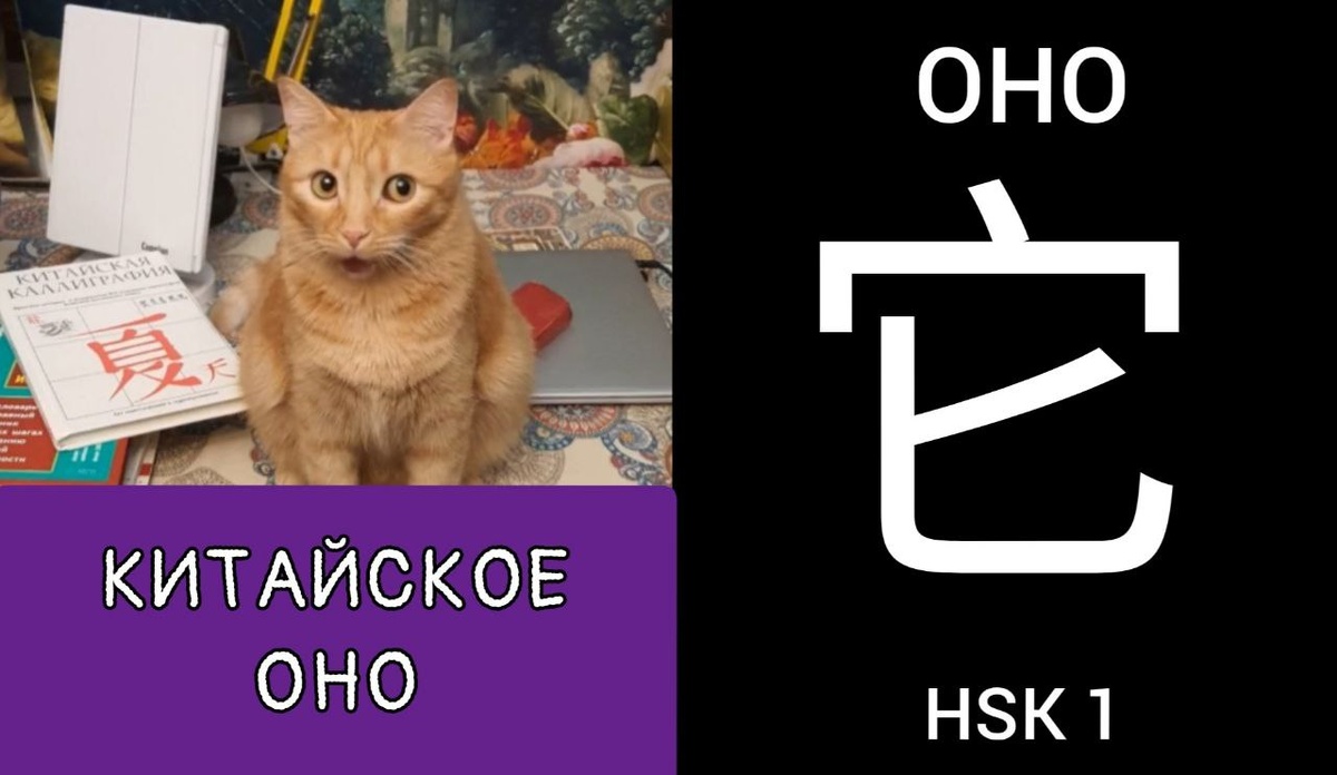 www.mhsk.ru