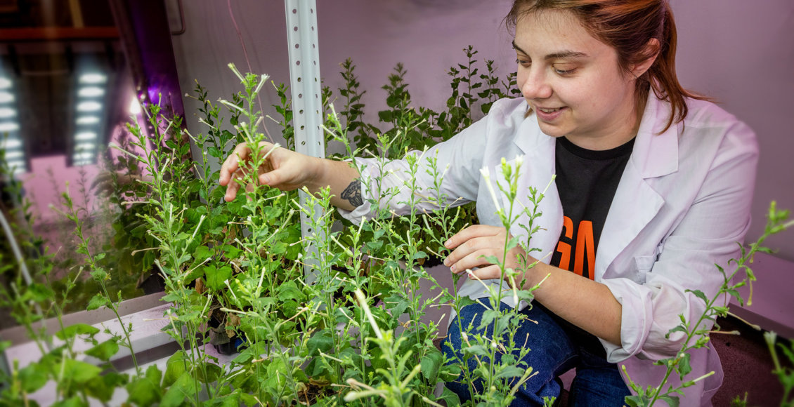    Фото: пресс-служба ННГУ им. Н.И. Лобачевского