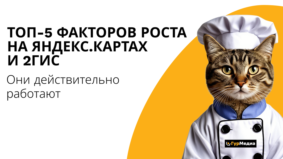 От нуля до топа: пошаговый план продвижения в геосервисах