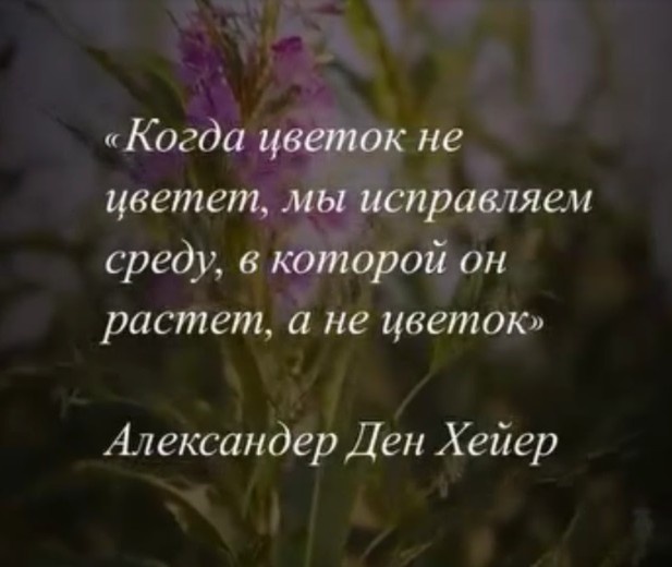 сказано хорошо, но мимо