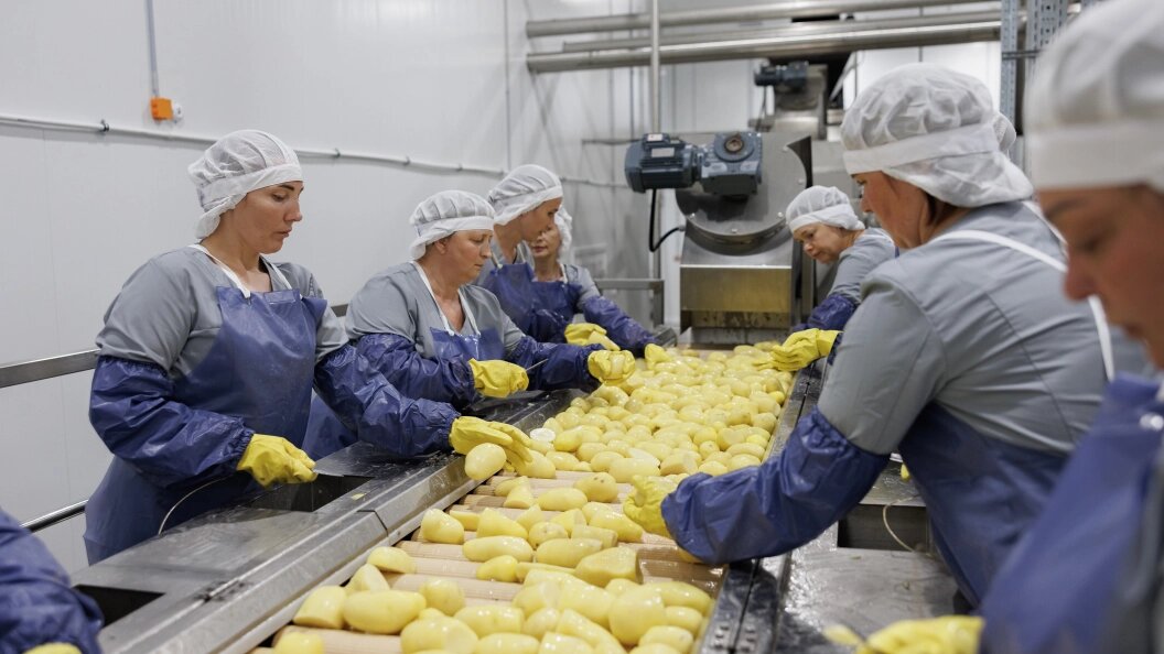    Фото: Sergey Elagin/Globallookpress