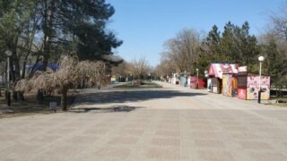    t.me/BublikRomanYeisk Юлия Виноградова