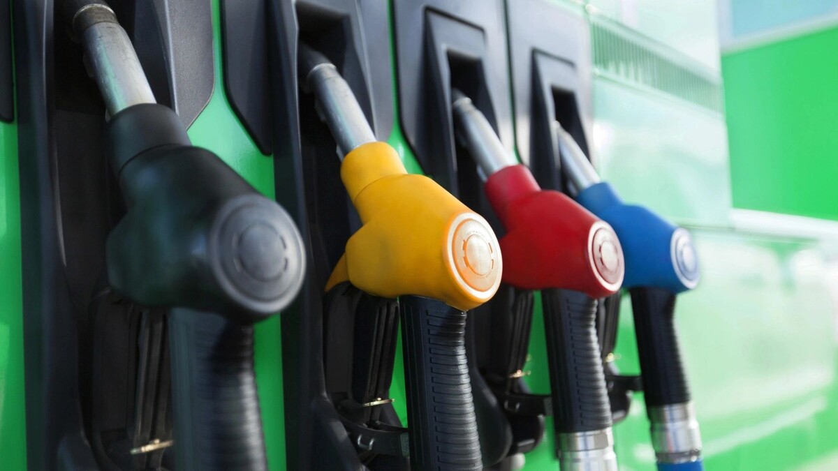    Фото: Billion Photos/Shutterstock/Fotodom