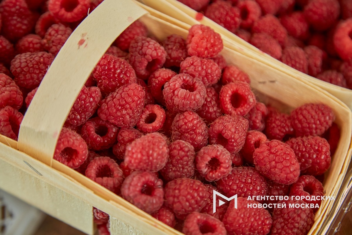 Фотограф: Дмитрий Белицкий