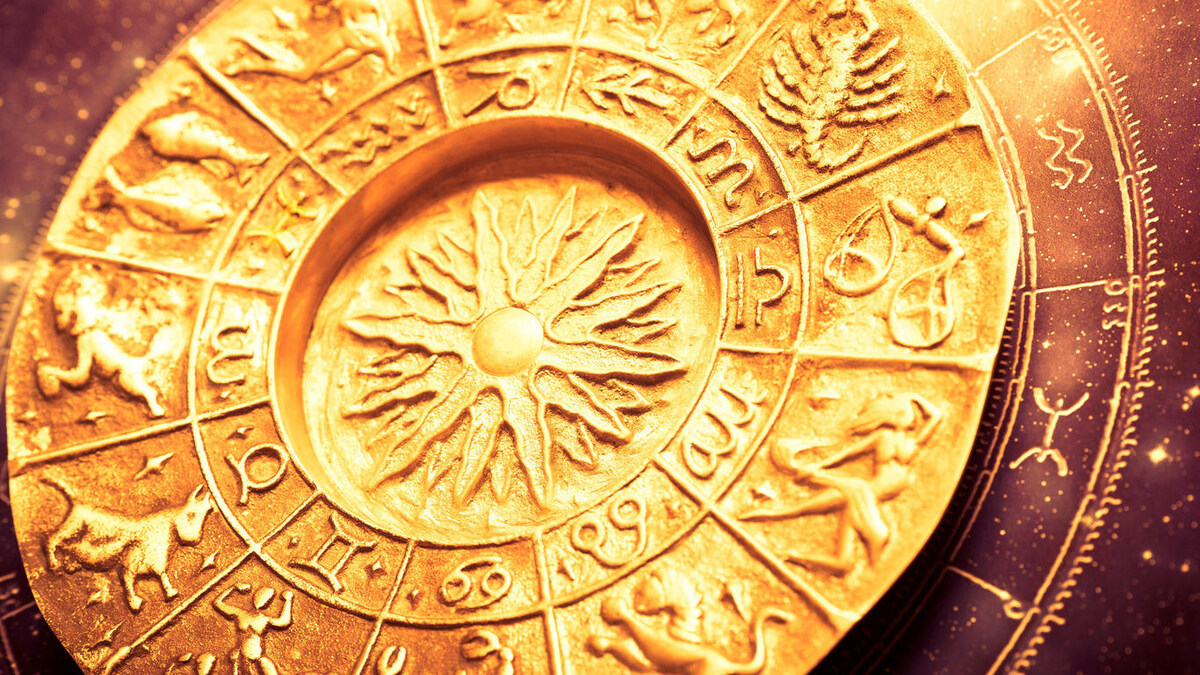 Картинка из сети 