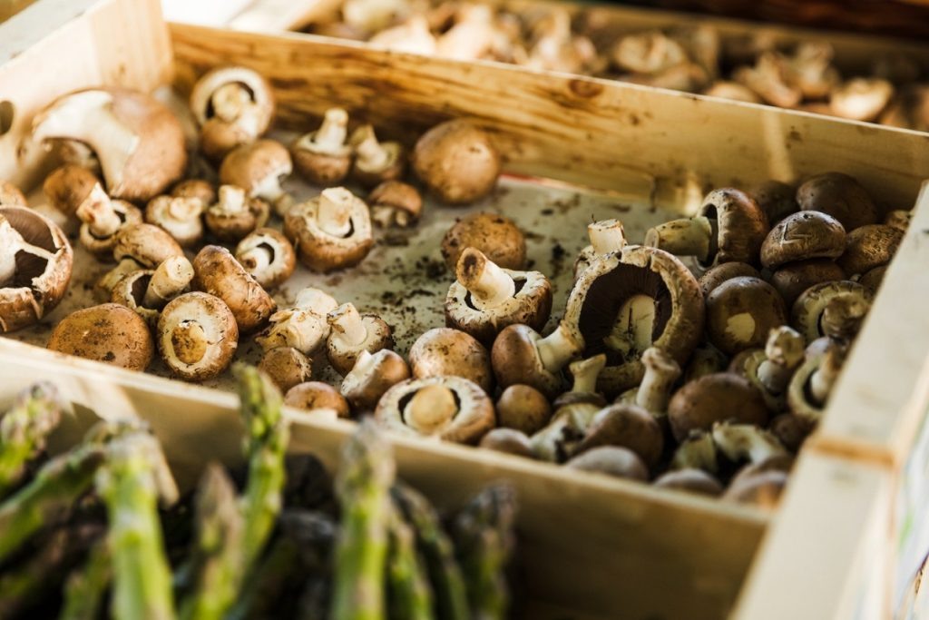 фото: freepik/freepik.com