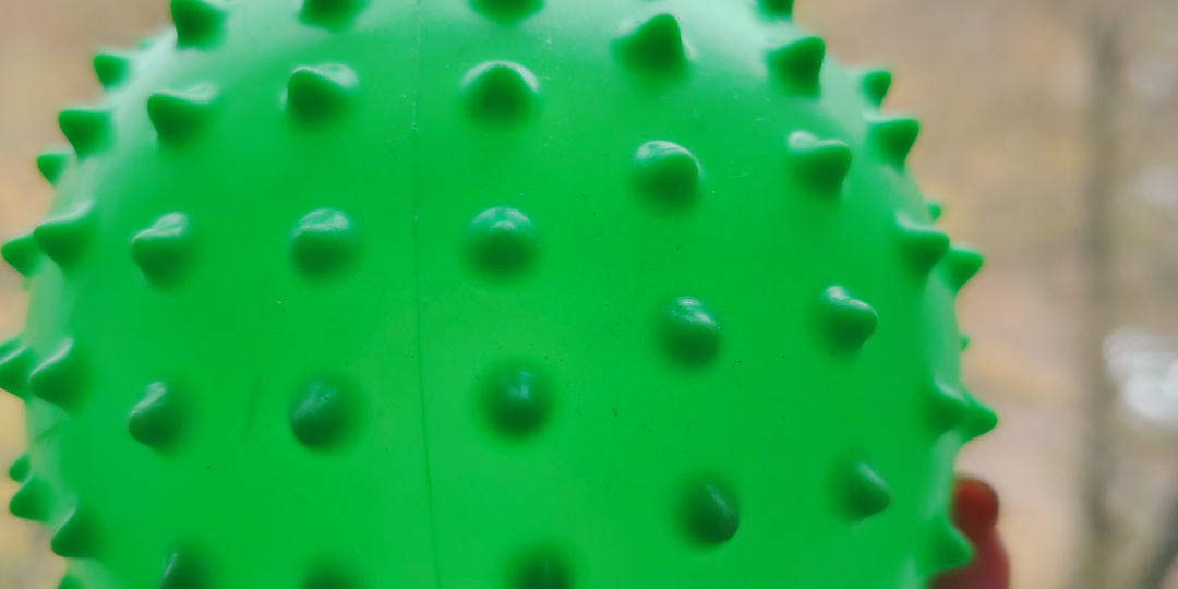 Перлы от собачников. Дожди. Собаки. Мотивация.