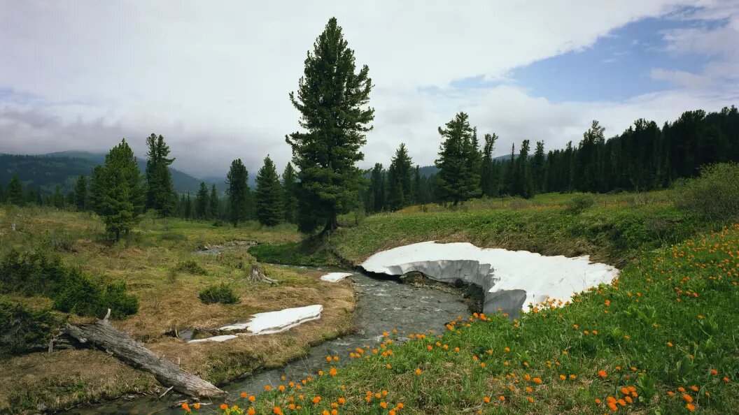    Фото: Vladimir Skovorodnikov/Globallookpress.