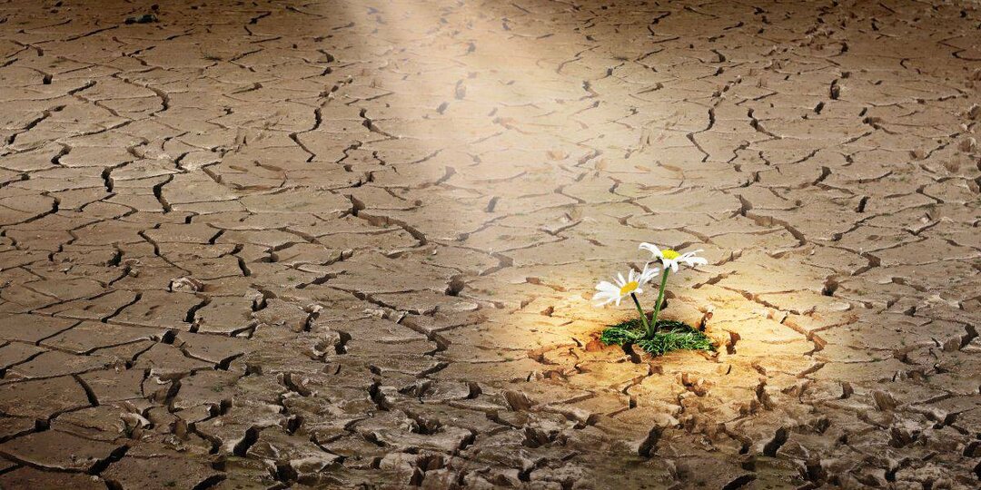 Отступление… потому-что хочется отступить