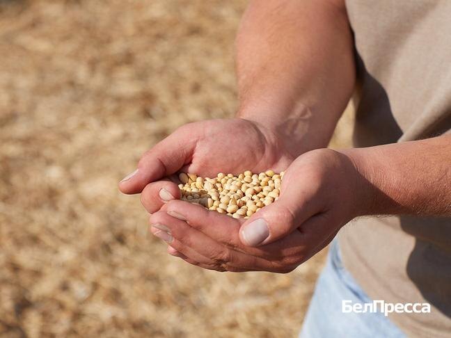 Фото: Елена Журавлёва