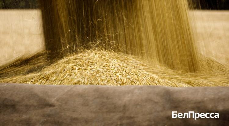 Фото: Павел Колядин