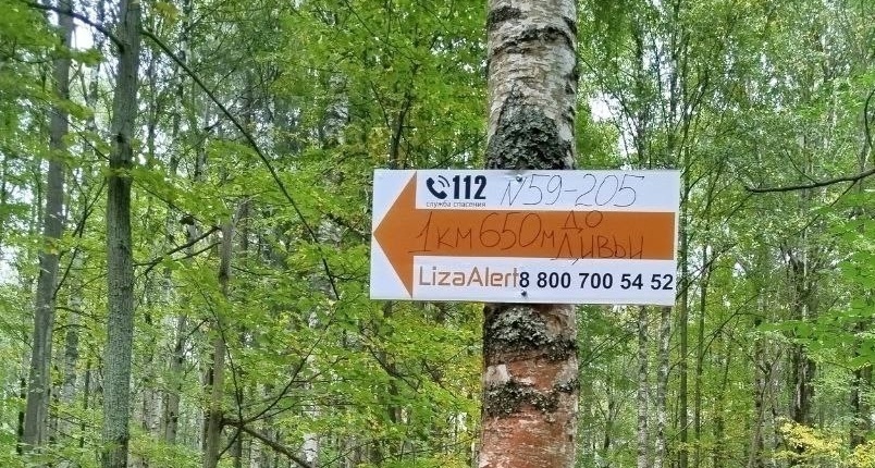    Фото: ЛизаАлерт/VK Ульяна Бажанова