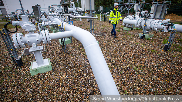     Фото: Bernd Wuestneck/dpa/Global Look Press   
 Текст: Вера Басилая