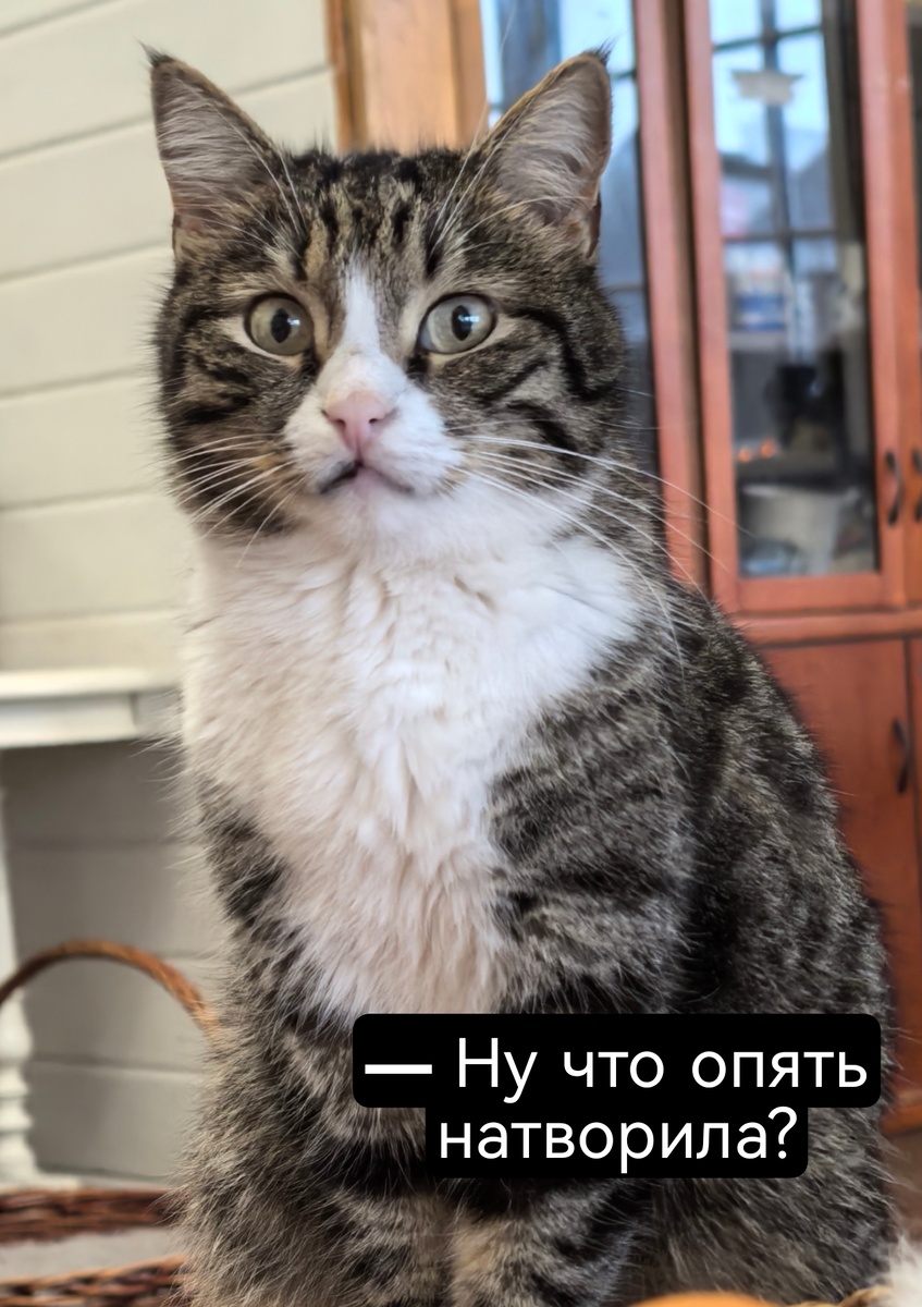 Если бы не Фуфырик, вообще всю работу завалила бы