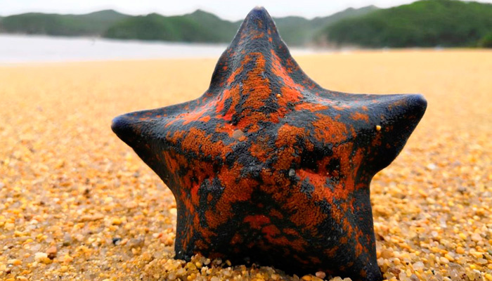 Потепление меняет планету. Сможем ли мы найти себе место в новом мире? Фото: Юлия Береговая, 1MI