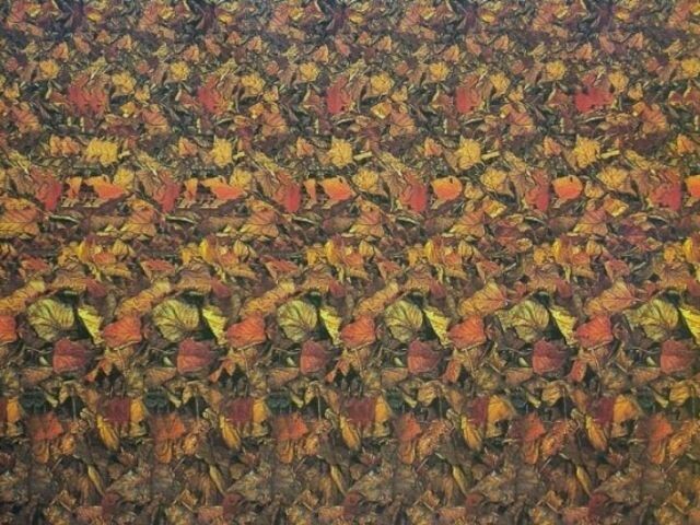 Стереокартинка - 1