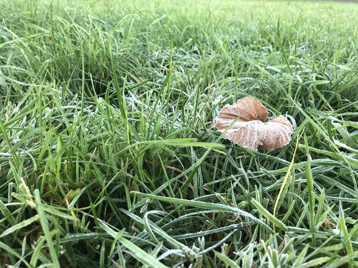    Фото: Мойка78/Вероника Смирнова