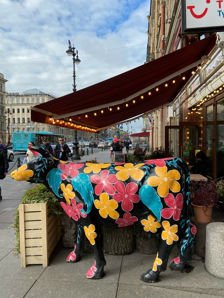 Фото коровы с Невского из личного архива