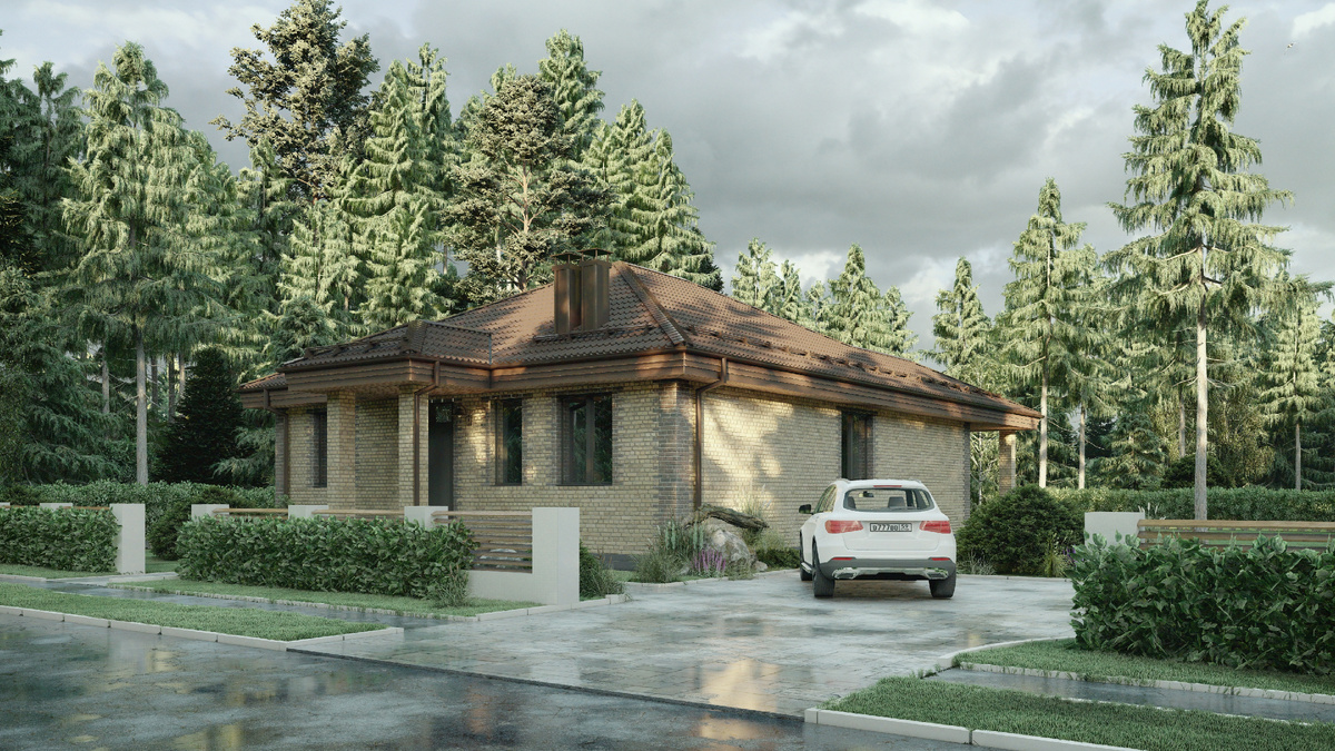 Перспектива Вид 1