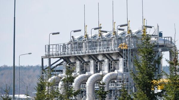    © Sputnik / Алексей Витвицкий