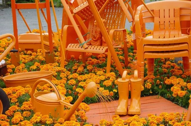    К чему снится оранжевый цвет?