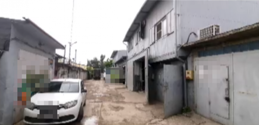 Фото из доклада Р. Гиваргизова