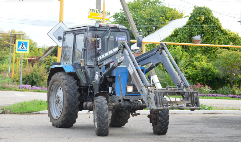 Фото автора. Станица.