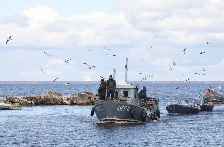 Автор фото: Лидия Верещагина / "Деловой Петербург"