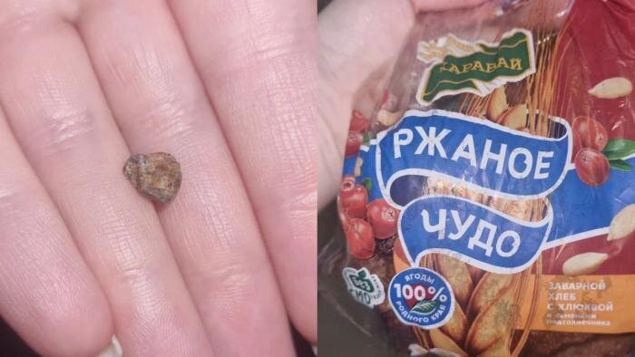 Обложка © Telegram / SHOT ПРОВЕРКА
