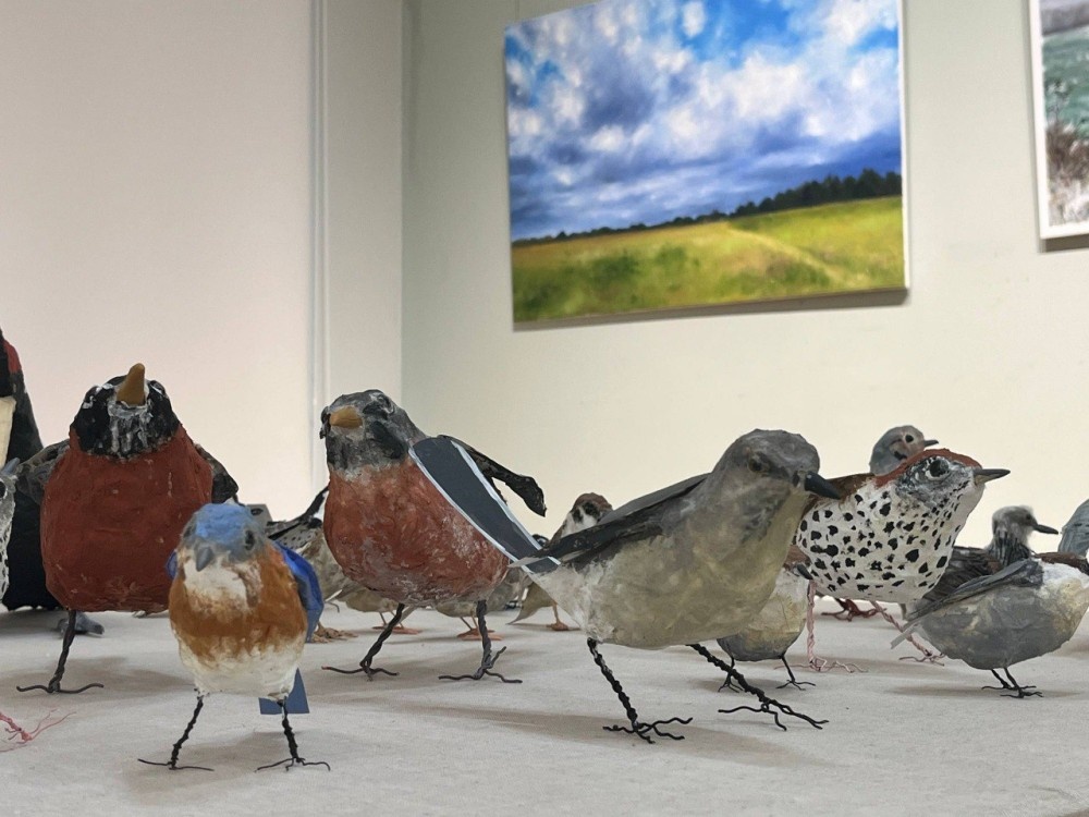    В Нижегородском художественном музее открылась выставка «Пределы восприятия — SOSтояние»