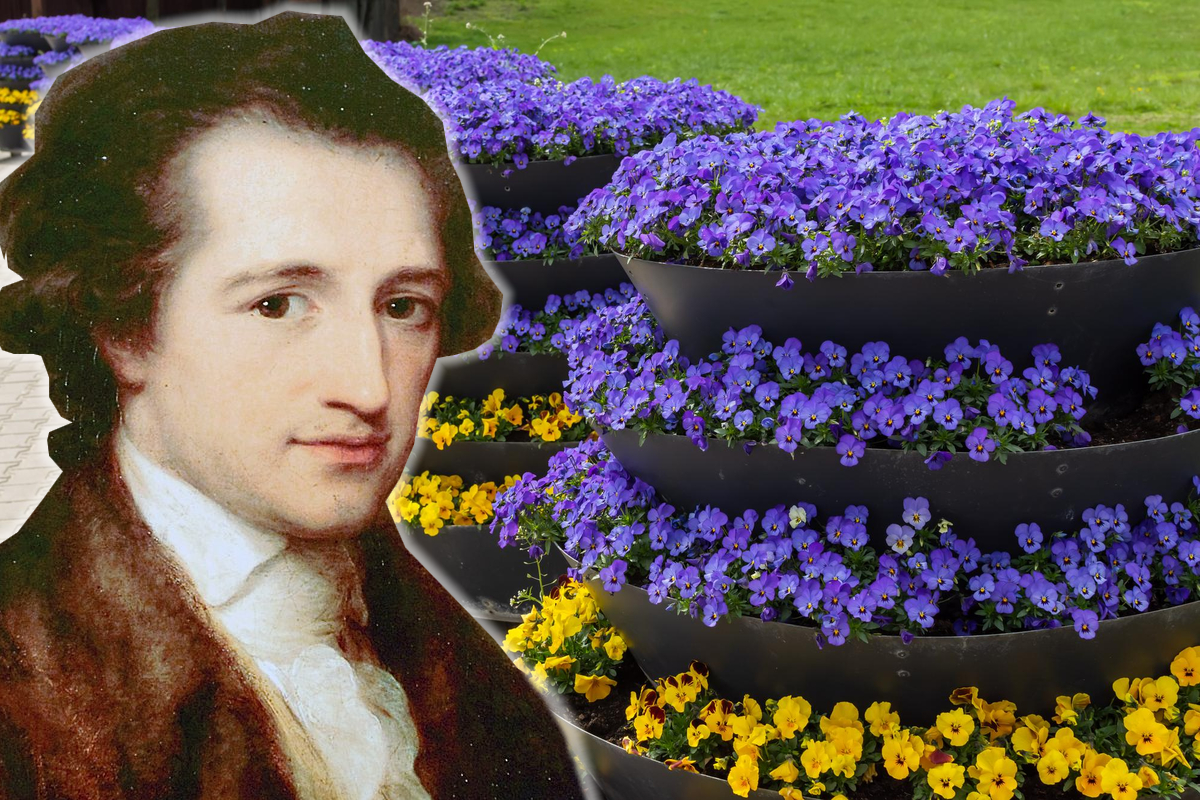 Иоганн Вольфганг Гёте