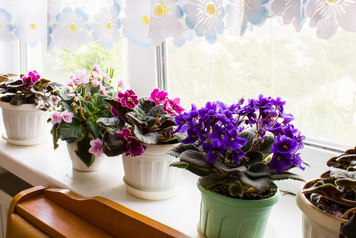     123RF/legion-media.ru